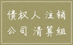 公司注销了个人股东可以起诉