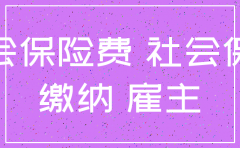 农村社保不注销公司能交保险吗