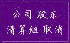 公司法 同意公司注销决议