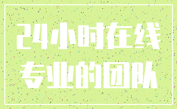 24小时在线_专业的团队