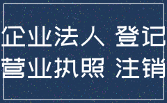 公司被注销 起诉