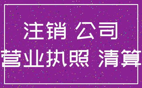 注销 公司_营业执照 清算