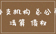 分公司注销总公司报表