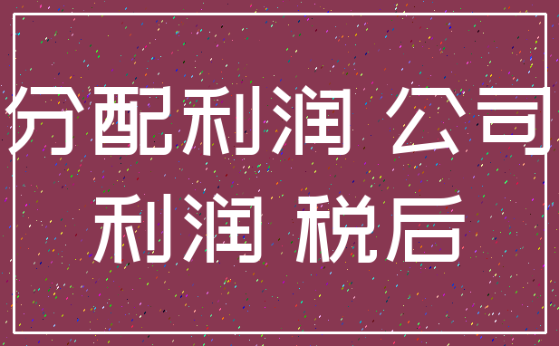分配利润 公司_利润 税后