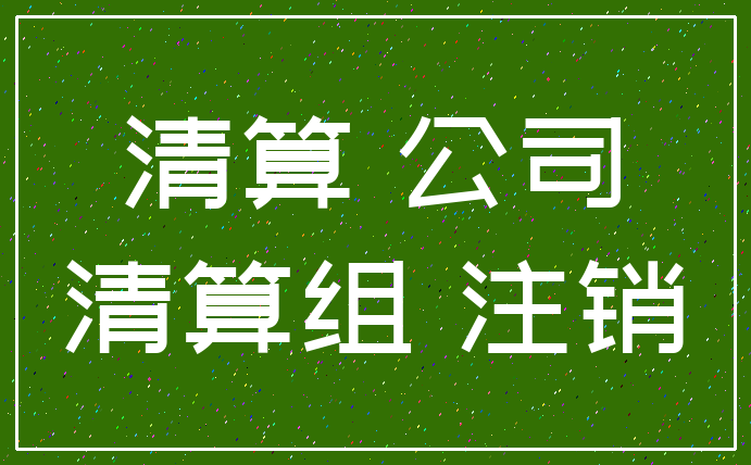 清算 公司_清算组 注销