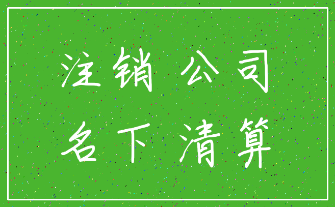 注销 公司_名下 清算