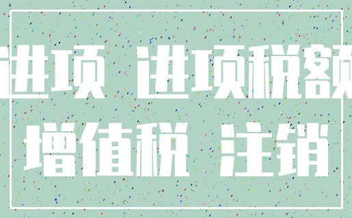 进项 进项税额_增值税 注销