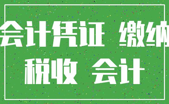 会计凭证 缴纳_税收 会计