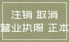 怎么看公司注销没有