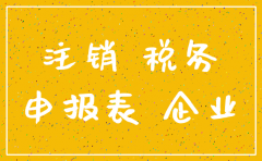 公司注销企业所得税申报表