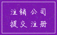 公司不注销的申请书怎么写