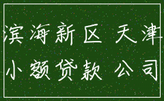 天津滨海新区代办公司注销