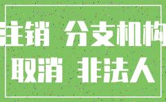 非公司企业法人分支机构注销