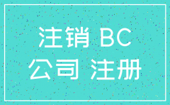 为了贷款注册公司后注销