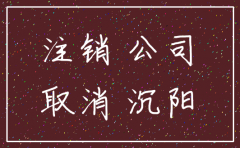 公司注销流程公告需要多少天