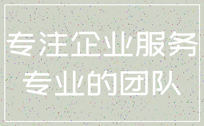 专注企业服务_专业的团队