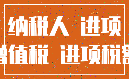 纳税人 进项_增值税 进项税额