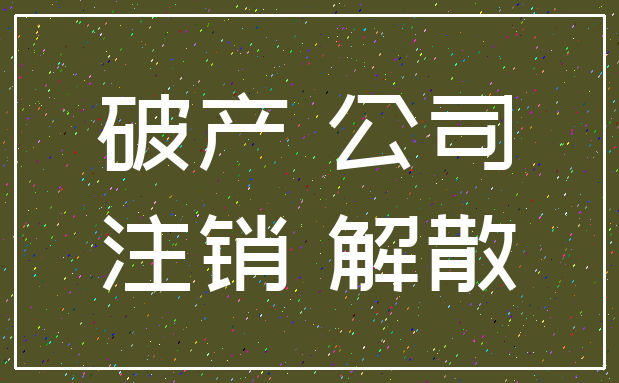 破产 公司_注销 解散