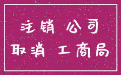 洋浦公司注销