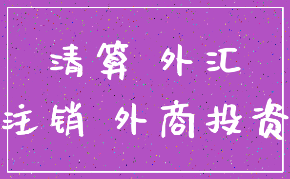 清算 外汇_注销 外商投资