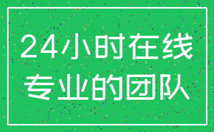 24小时在线_专业的团队