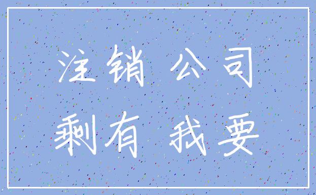 注销 公司_剩有 我要