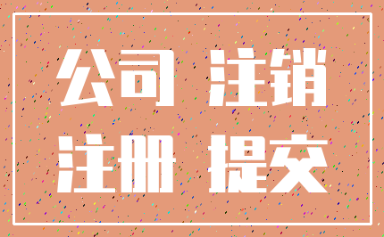 公司 注销_注册 提交
