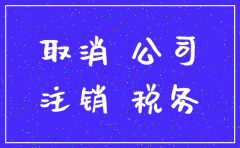 办理公司注销税所电话