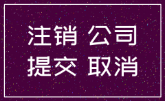 清远市代办公司注销