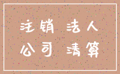 分公司注销模拟法人签字犯法吗