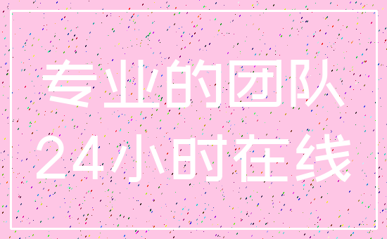 专业的团队_24小时在线