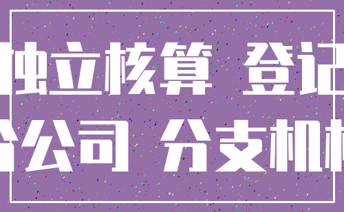 独立核算 登记_分公司 分支机构