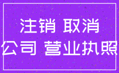 深圳公司注销去哪办理