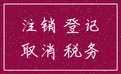 公司如果注销 如何起诉