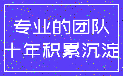专业的团队_十年积累沉淀