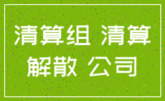 集团公司注销需要的成立清算组决议