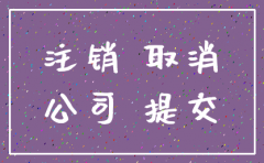 注销一般纳税公司