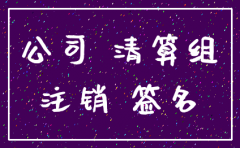 公司注销清算报告实例填写