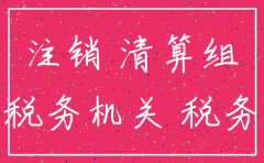 税务部门公司注销手续