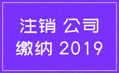 2019年注销空壳公司
