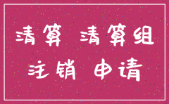 分公司注销清算事项说明怎么写