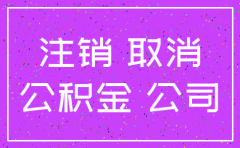 重庆南岸区公司注销费用
