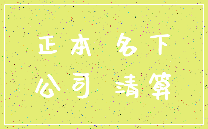 正本 名下_公司 清算