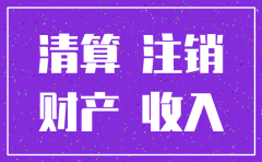 蚌埠公司注销 amp 邦尼会计公司