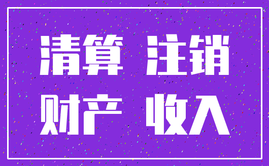 清算 注销_财产 收入