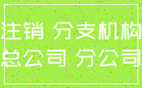 注销 分支机构_总公司 分公司