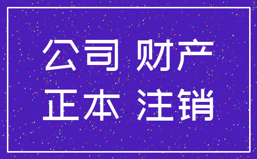 公司 财产_正本 注销