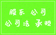 股东骗取公司注销登记