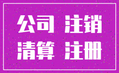 网上申请注销公司的网站叫啥