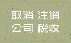 怎么打印公司注销申请表